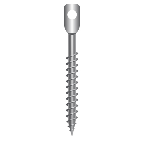 Special Application Screws